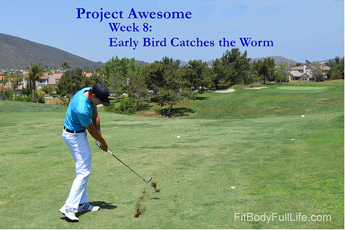 Project Awesome Week 8: Early Bird Catches the Worm Project Awesome Week 8: Early Bird Catches the Worm