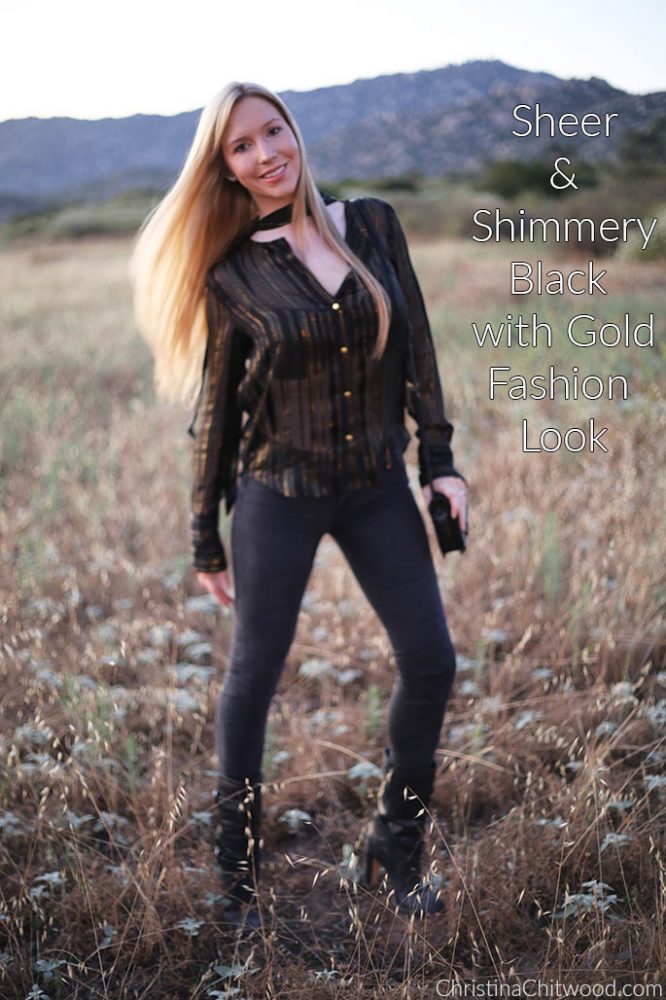 Sheer and Shimmery Black with Gold Fashion Look