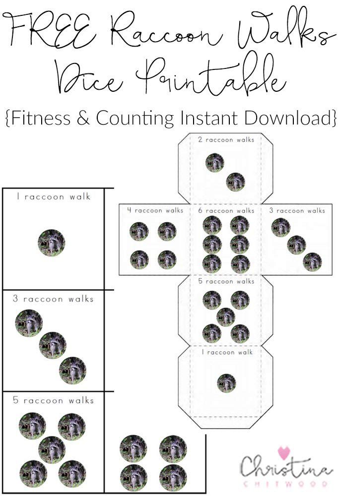 FREE Raccoon Walks Dice Printable {Fitness & Counting Instant Download}
